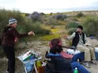 carizzoplains072_small.jpg