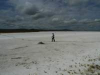 carizzoplains252_small.jpg