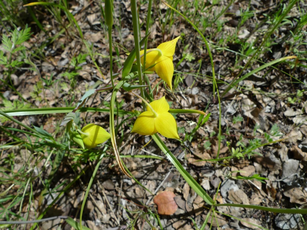cachecreek004.jpg