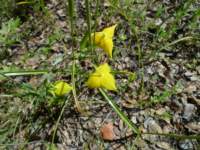 cachecreek004_small.jpg