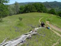 cachecreek012_small.jpg