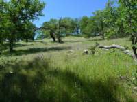 cachecreek016_small.jpg
