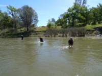 cachecreek022_small.jpg