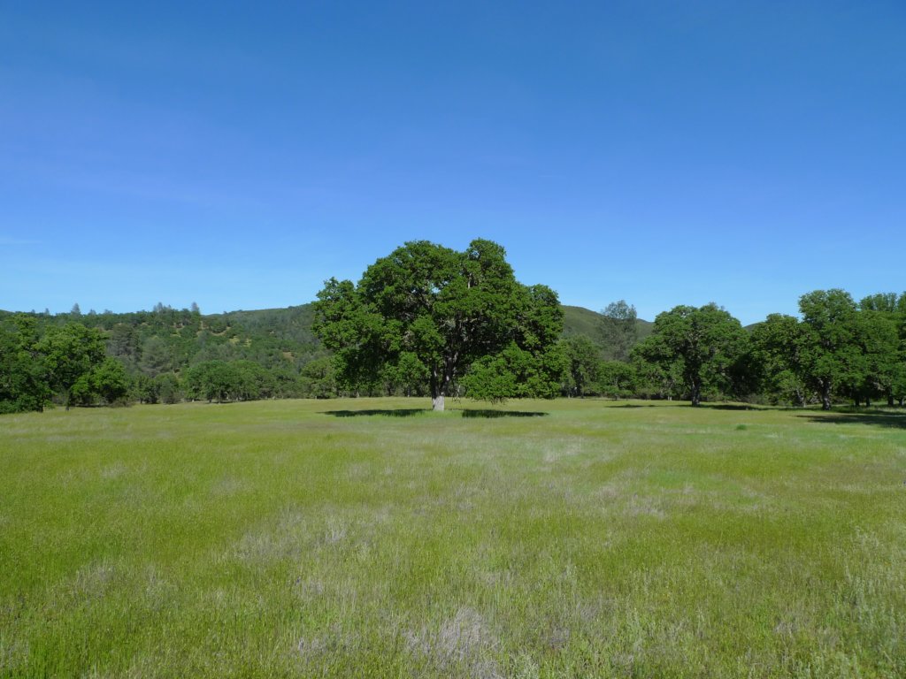 cachecreek072.jpg