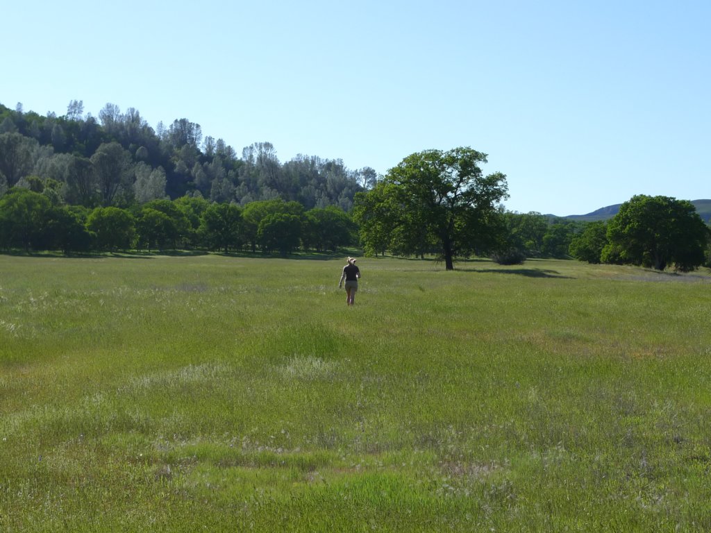 cachecreek080.jpg