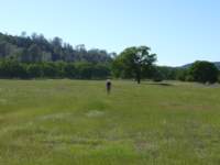 cachecreek080_small.jpg