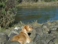cachecreek084_small.jpg
