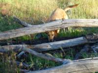 cachecreek087_small.jpg
