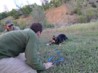 cachecreek113_small.jpg