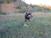 cachecreek117_small.jpg