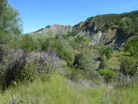 cachecreek141_small.jpg