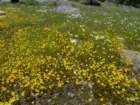 hetchhetchy022_small.jpg