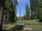 hetchhetchy031_small.jpg