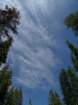 hetchhetchy034_small.jpg