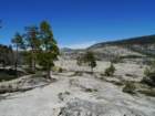 hetchhetchy040_small.jpg