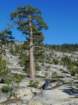 hetchhetchy049_small.jpg