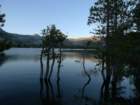hetchhetchy074_small.jpg