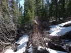 hetchhetchy118_small.jpg