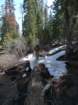 hetchhetchy122_small.jpg