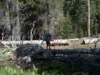 hetchhetchy130_small.jpg