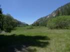 hetchhetchy134_small.jpg