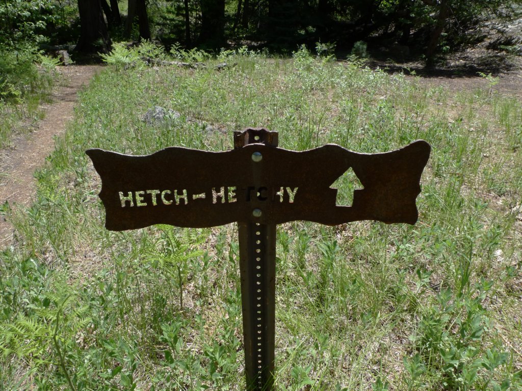 hetchhetchy135.jpg