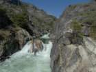 hetchhetchy153_small.jpg