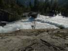 hetchhetchy174_small.jpg