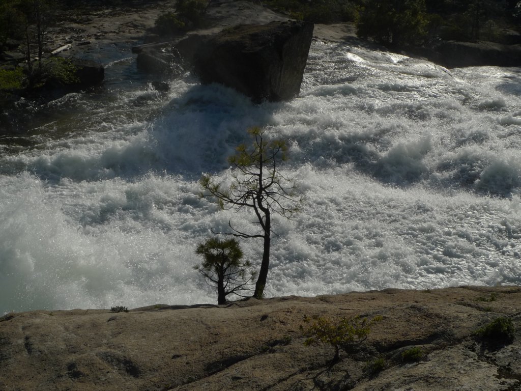 hetchhetchy175.jpg