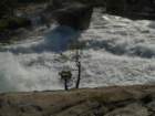 hetchhetchy175_small.jpg
