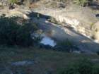 hetchhetchy208_small.jpg
