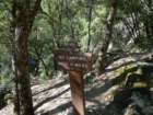 hetchhetchy214_small.jpg