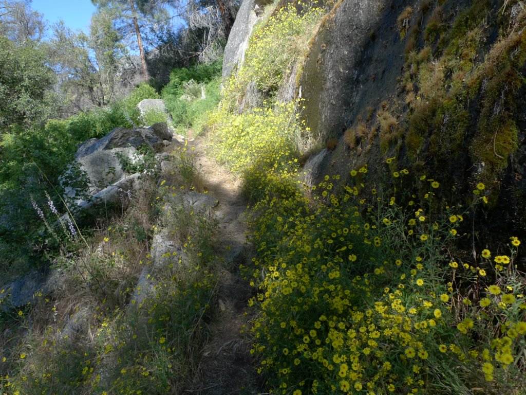 hetchhetchy229.jpg