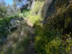 hetchhetchy229_small.jpg