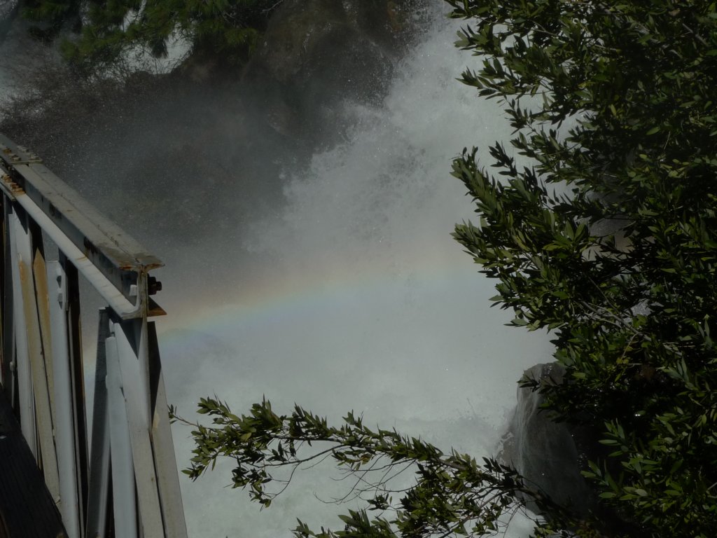 hetchhetchy267.jpg