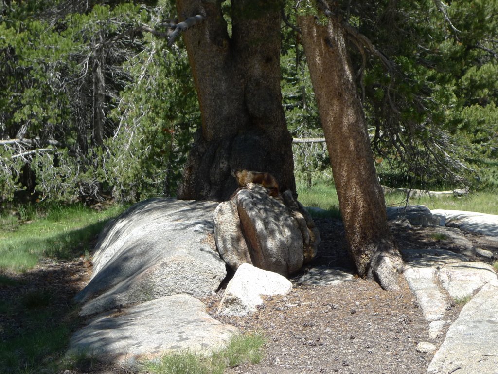 aroundlyell013.jpg
