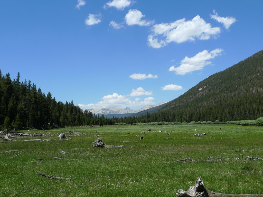 aroundlyell015.jpg