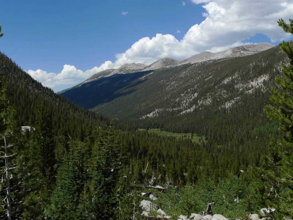 aroundlyell021.jpg