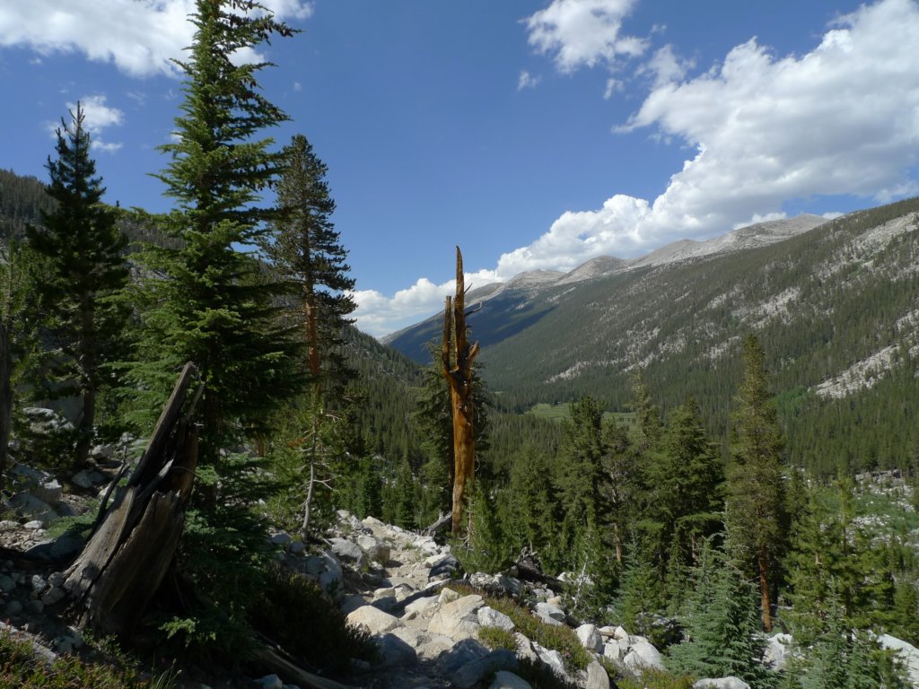 aroundlyell024.jpg