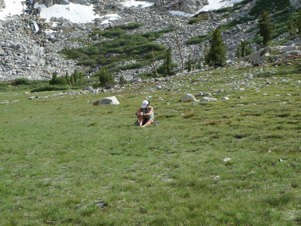 aroundlyell027.jpg