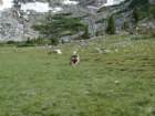 aroundlyell027_small.jpg
