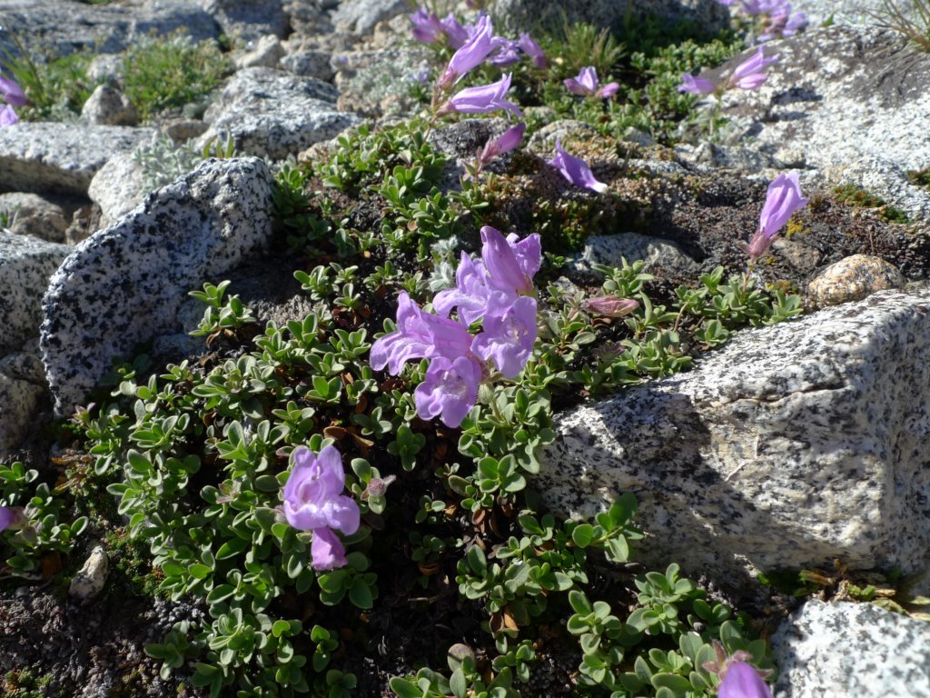 aroundlyell095.jpg
