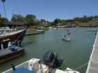 august2010042_small.jpg