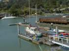 august2010063_small.jpg