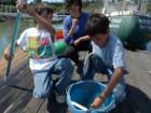 august2010066_small.jpg