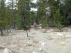 tenlakes013_small.jpg