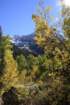 _mg_9718_small.jpg