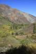 _mg_9741_small.jpg