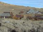 californiafall2010015_small.jpg