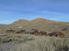 californiafall2010017_small.jpg